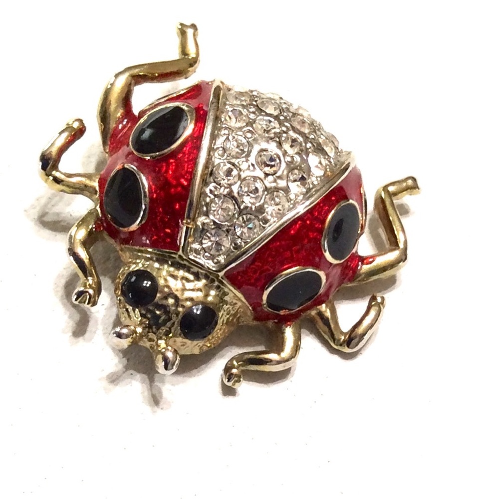 Bug Brooch ladybug beetle Vintage Pin